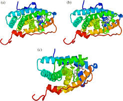 Был академиком в мюнхене и берлине. Exploring The Binding Properties Of Agonists Interacting With Glucocorticoid Receptor An In Silico Approach Springerlink