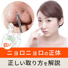 ANS.（アンス）は