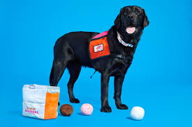 Dogs Can Now Run On Dunkin Too Dunkin And Bark Introduce New Dog Toys For A Cause Dunkin