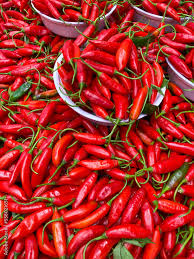 Image result for Capsicum baccatum