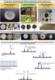 Le nueve fachade 89.3 fm‏ @lanuevafachada 27 нояб. Soil Microbiota Manipulation And Its Role In Suppressing Soil Borne Plant Pathogens In Organic Farming Systems Under The Light Of Microbiome Assisted Strategies Springerlink