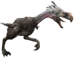 Check spelling or type a new query. Primeval Terror Bird Render By Chrisufray On Deviantart