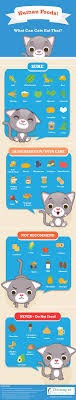 Youthful cats, seniors, and felines with medical issues could be all the more genuinely affected. Infographic Human Foods What Can Cats Eat Besides Cat Food Ihomepet
