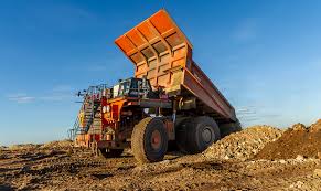 Image result for Empogona cacondensis