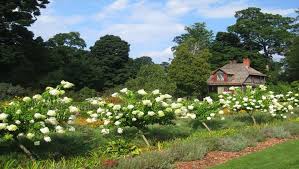 Dort könnt ihr euch mit euren freunden oder eurer familie treffen und essen frisch vom feuer genießen. Hanggarten Gestalten Diese Blumen Eignen Sich Sat 1 Ratgeber