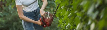 Bei blüten bildenden hecken, wie zum beispiel der zierkirsche, wird der schnitt erst nach der blüte vorgenommen, um vorjährige blütenanlagen nicht zu beschädigen. Hecke Schneiden Was Ist Wann Erlaubt