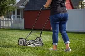 Pistonindex.com classifieds is an online resource for buying and selling dethatcher & parts / self propelled dethatcher. China 1400w Lawn Dethatcher Electric Raker Scarifier With Five Setting Depth Ers010 China Electric Racker And Electric Scarifier Price