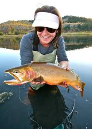 Fly Fishing Fish Trout Fishing Walleye Fishing