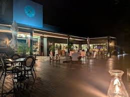 Image result for Grangea zambesiaca