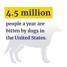 How many dogs are euthanized a year? Dog Bite Injury Statistics In The United States Injury Claim Coach