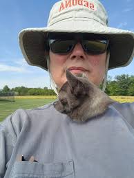 Rat Care and Recovery Discussion