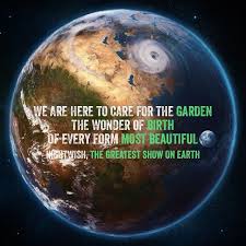 Set in the ringling bros. The Dark Chest Of Wonders Cool Lyrics Greatful Happy Earth