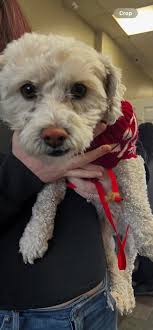 I found this lovely baby they both so sweet