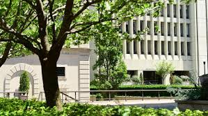 Image result for Sopubia conferta