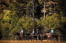 Of course visitors should adhere to cdc guidelines for social distancing and face covering. Best Guided Horseback Riding Experiences In Northern Utah Visit Utah