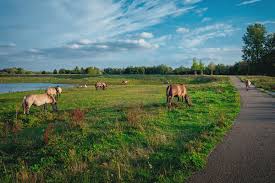 Check flight prices and hotel availability for your visit. Dilsen Stokkem Waterpret Tot En Met Visit Limburg