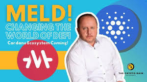 The 2020 edition of the cardano virtual summit was expected by many to have in store many major announcements for the ecosystem. Could Meld Change Defi Forever The Cardano Ecosystem Is Coming Benisnous