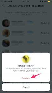 Scroll through the list of followers until you find the profile that you want to. How To Remove Delete All Followers On Instagram