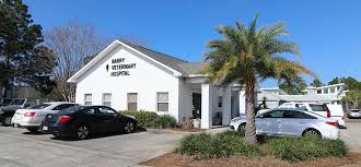 Maybe you would like to learn more about one of these? Contact Barry Veterinary Hospital Veterinarian In Miramar Beach Fl