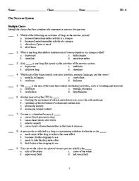 Test Biology The Nervous System By Ronnie S Social Studies Store