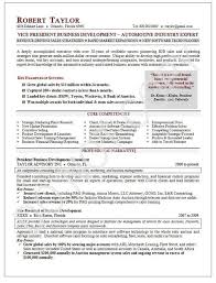 executive resume sample vice