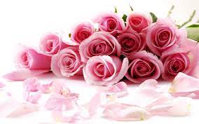 1080p rose flower bouquet images hd. Rose Flower Wallpapers Hd Wallpaper Cave