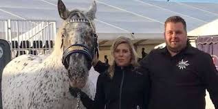 Gemeinsamer Traum "Norikerzucht"