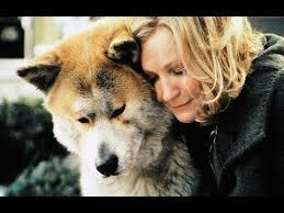 Free Movie On Youtube Family Movies Full Length English Imdb 8 2 Hiac A Dog Tale A Drama Based On The True Story Of A Coll Hachiko Hachi A Dogs Tale Perros