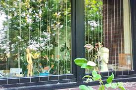 Vogelschutz Am Fenster Diese Massnahmen Helfen Wirklich Gegen Vogelschlag