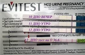 S Kakogo Dnya Zaderzhki Test Pokazyvaet Beremennost Newmed Su Vse Dlya Mamy I Malysha