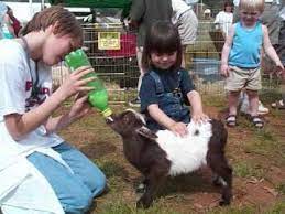 Petting zoo rental near me. Pin On Teaching Foods