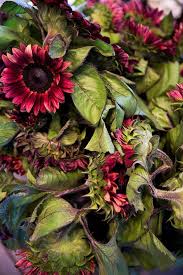 Camelback Flower Shop Phoenix Flores