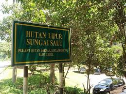 Desa #batugajah dan #noman merupakan desa yang elok dengan aliran sungai yang jernih terletak di #kecamatanrupit #kabupaten musirawasutara , dengan biota. Twitter à¤ªà¤° Ahmad Solihin Iloveyouipoh Batu Gajah Mana Ada Bukit Tinggi Gunung Nak Ada Air Terjun Ni