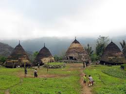 Honai merupakan rumah adat papua khususnya di bagian pengunungan. Mbaru Niang Wikipedia Bahasa Indonesia Ensiklopedia Bebas