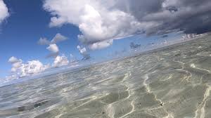 「市橋　オーハ島」の画像検索結果