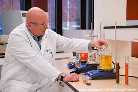 Dsm Nutrition Innovation Center Food Processing Technology