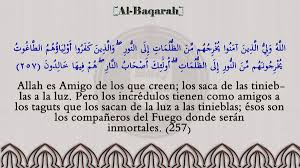 Cuando acepté el islam y lo asumí como forma de vida, estaba sediento de saber, quería conocer lo mejor posible la fuente primera del conocimiento, la revelación divina: Quran Spanish Pa Twitter Quran Spanish Espana Islam Coran Espanol Senor Musulman Surat Al Baqara 2 257 Surat La Vaca Http T Co A2sfu1bad3