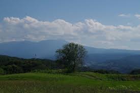 御牧ヶ原台地の一本胡桃 絶景 台地 長野