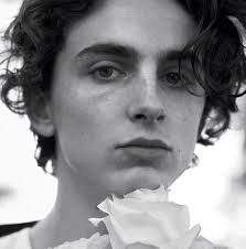 All information and material found on this site is for. Timothee Chalamet Fans Home Facebook