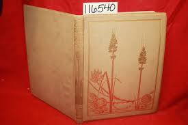 Image result for Moonstone Gray 1958 Montgomery Ward