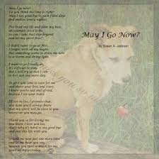 I Can T Even Think Of How I Would Be Able To Let Go When That Time Comes Which Is Way Down The Road Jax Has Been My True Pet Grief