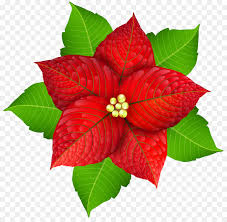 Weihnachtsstern Christmas Flower Clip Art Weihnachten Png