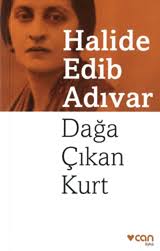 Daga Cikan Kurt Halide Edip Adivar Kitabinin Ozeti Konusu Tahlili Egitim Ve Teknoloji