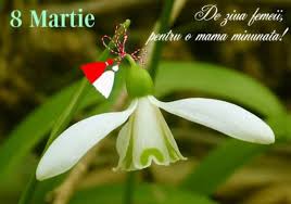 8 martie e ziua internaţională a femeii. FelicitÄƒri 8 Martie 2019 Imagini Frumoase Cu Flori De Ziua Femeii La MulÅ£i Ani De 8 Martie