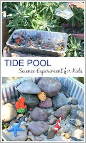Tide Pool Science Experiment For Kids Buggy And Buddy Science Activities For Kids Science Experiments Kids Science For Kids