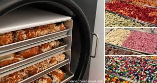 Learn about freeze dryer phases and terminology, along with the different types of laboratory freeze freeze dryers work by freezing the material, then reducing the pressure and adding heat to allow the amorphous: Foods You Can Put In Your Freeze Dryer The Ultimate List Tips Or So She Says