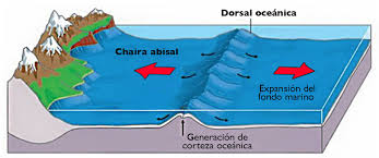 Dorsal Oceanica Dorsales Oceanicas Dorsales Geograficos