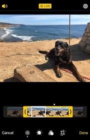 Drag the handles at either end of the slider to adjust the beginning or the end of your image, or drag the little white box around and click make key. How To Edit Live Photos On Your Iphone Appletoolbox