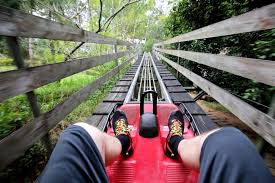 Mineshaft coaster in big bear. All You Need To Know About The Gravity Coaster At Rowdy Bear Mountain