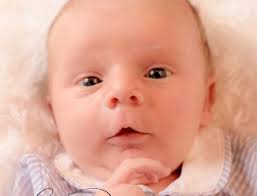 Lori A. Davis Photography